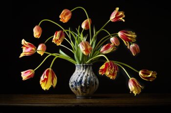 The Vase by Hans Pieterse