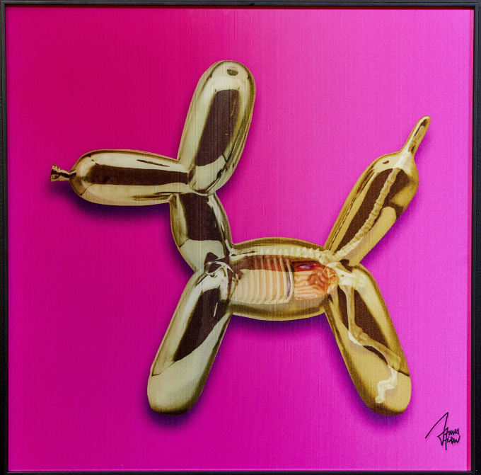 Toys Anatomy Magenta by James Chiew