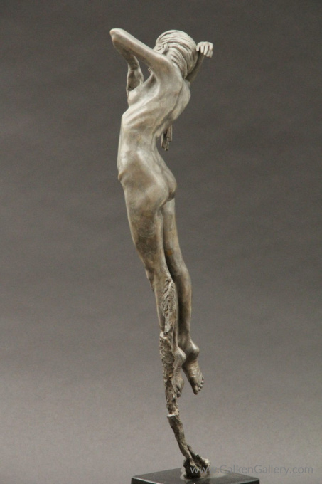 The Air Dancer by Michael James Talbot