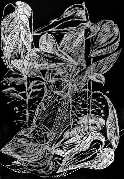 Black leaves IV by Magdalena Chmielek